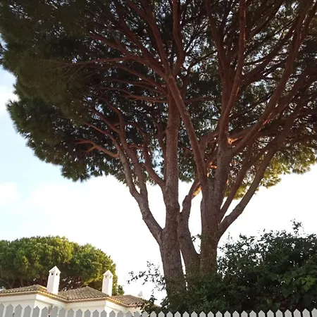 Apartamento La Barrosa - Chiclana - Urb. Pinar Atlántico *